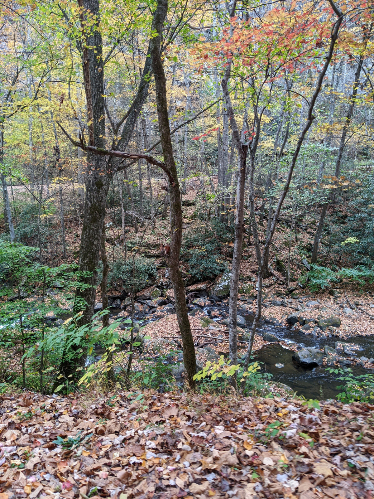 PXL_20251026_190024676