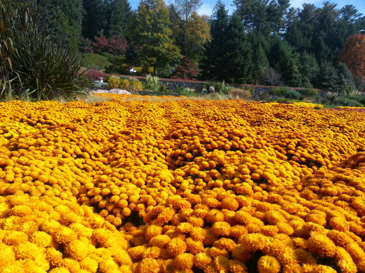 20141028_142002