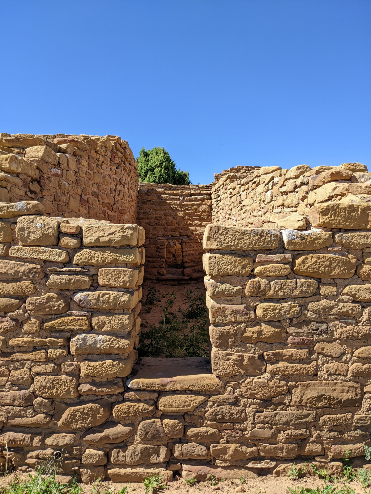 PXL_20250615_221630816