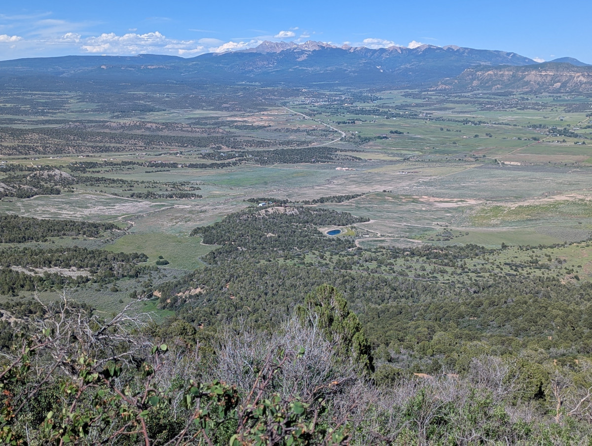 PXL_20250615_230354159.MP