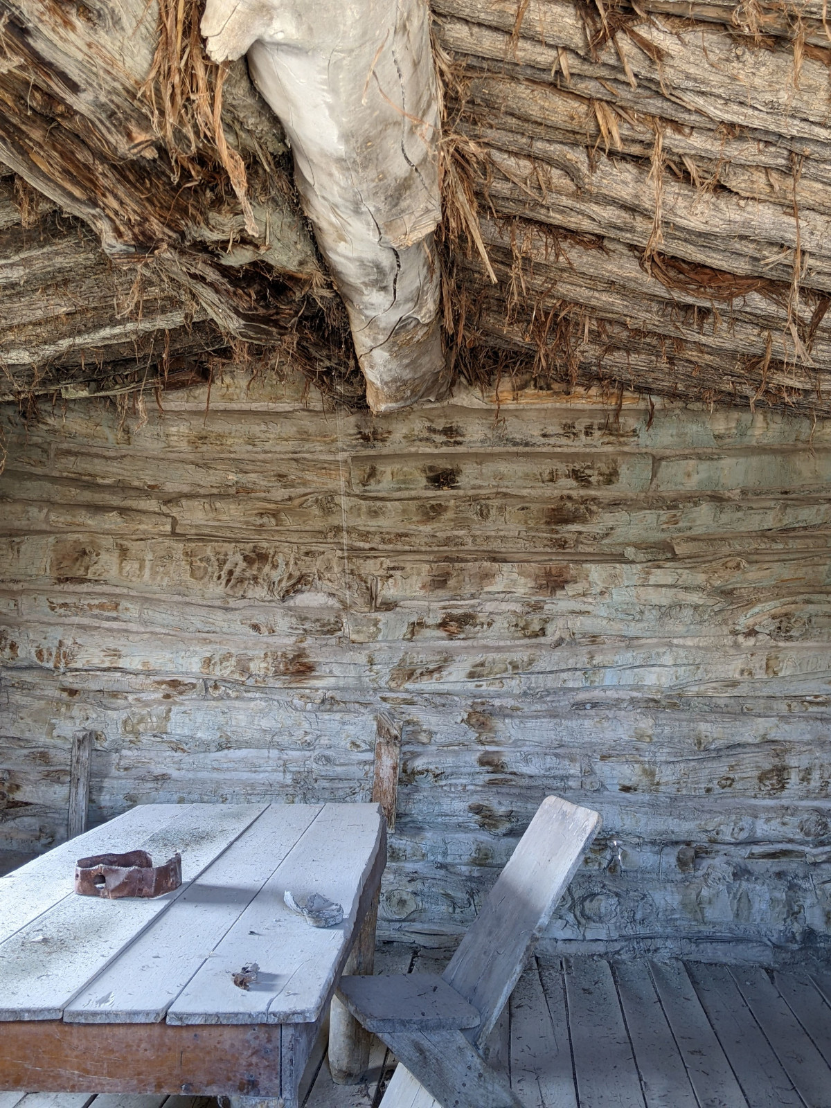 PXL_20250611_214331283