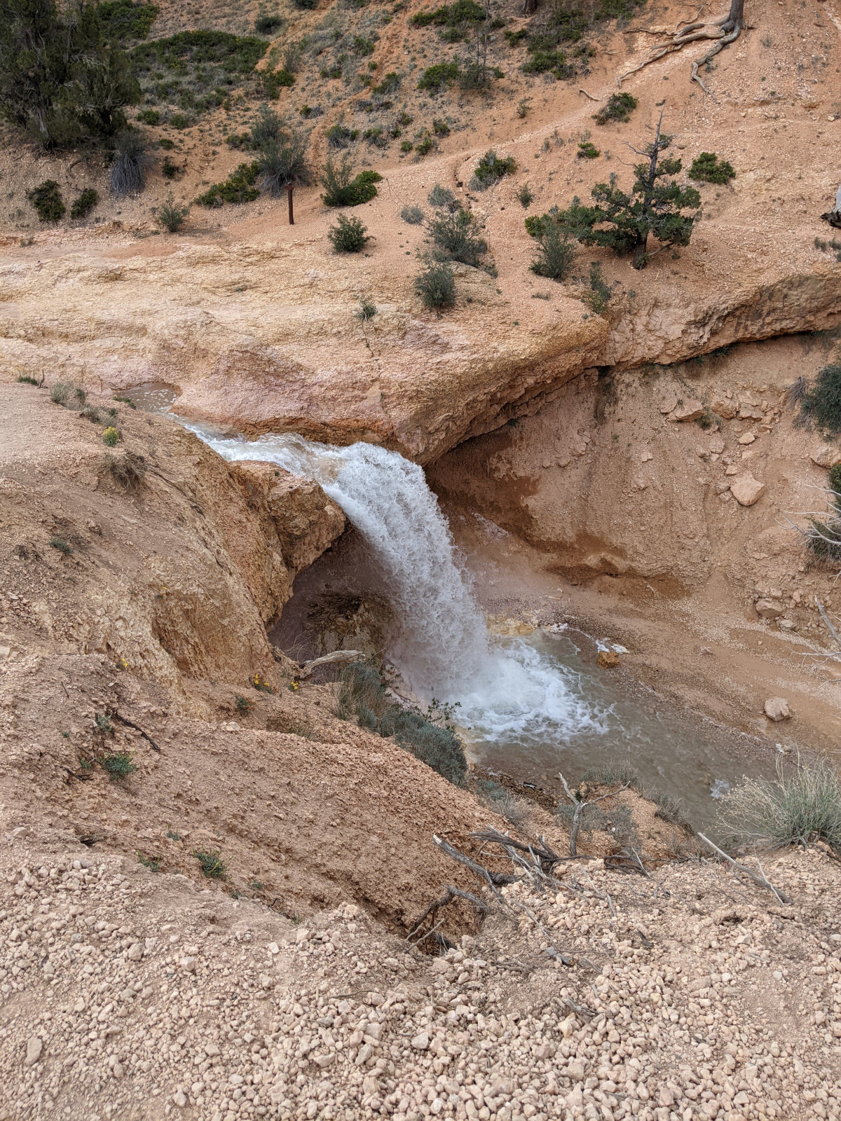 PXL_20250601_180203648