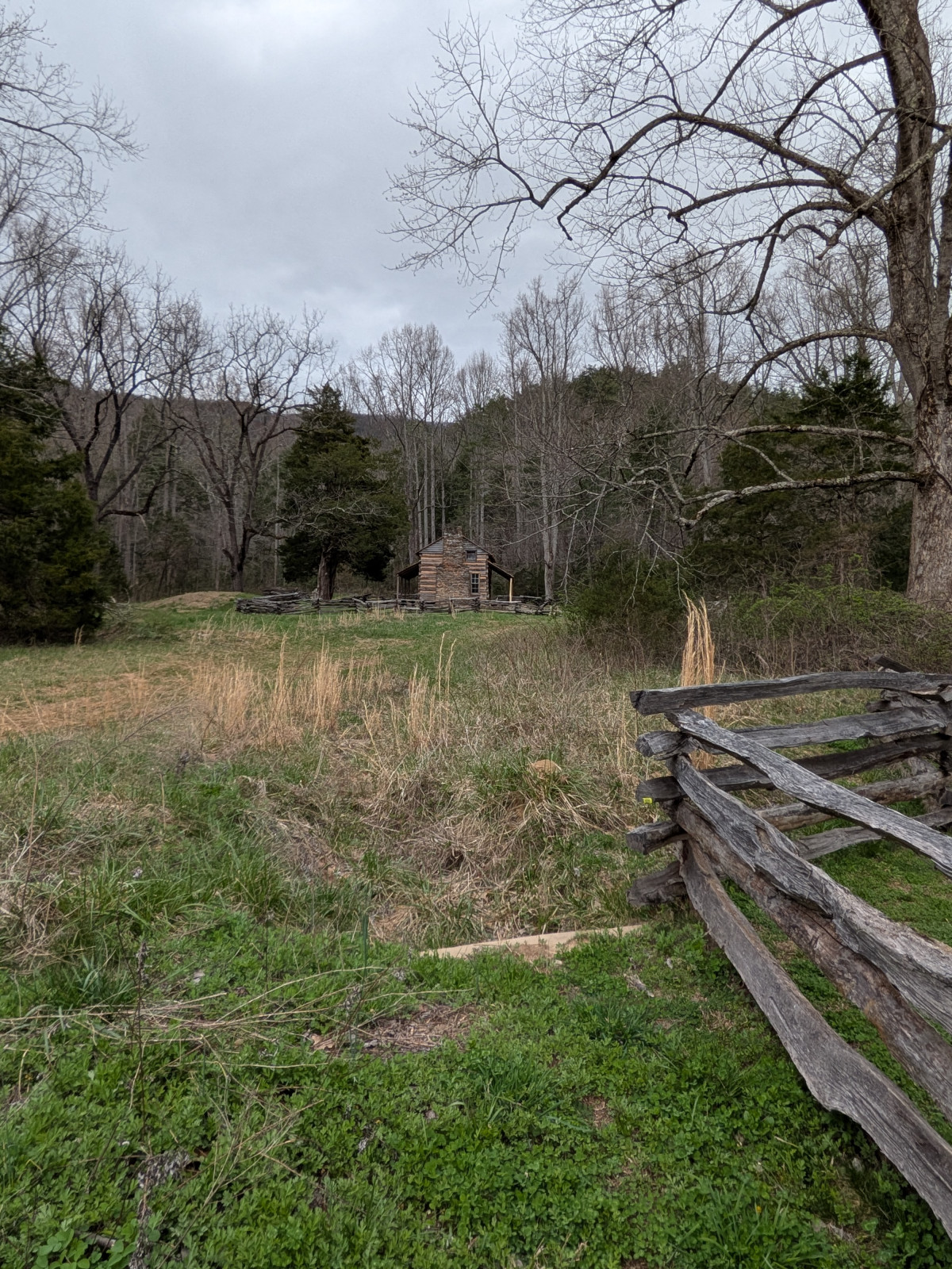 PXL_20260315_202957034