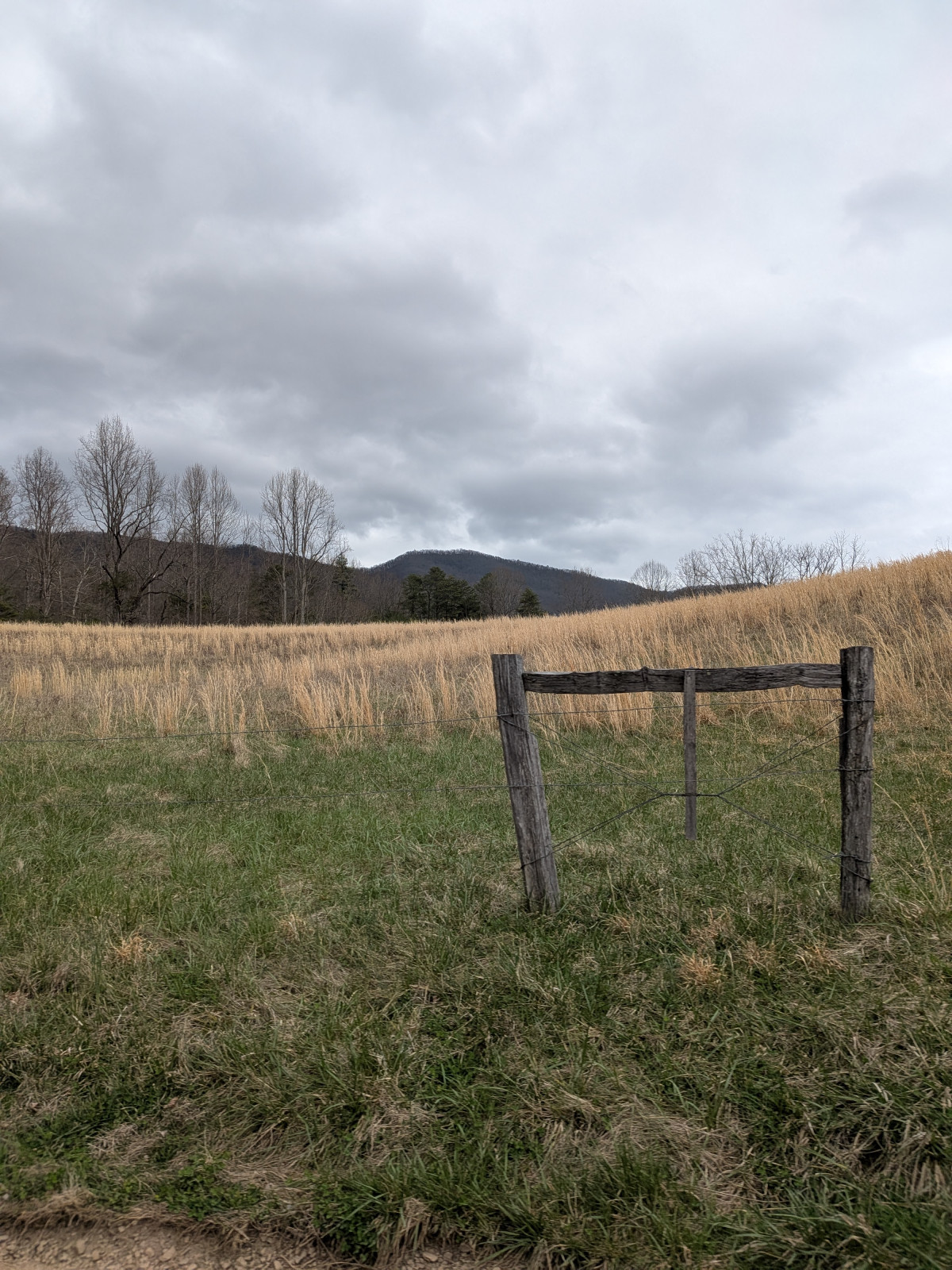 PXL_20260315_205251384