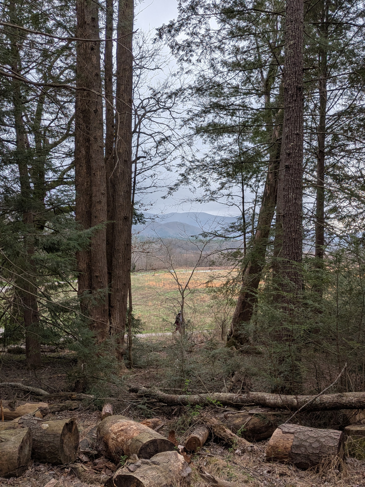 PXL_20260315_204731231