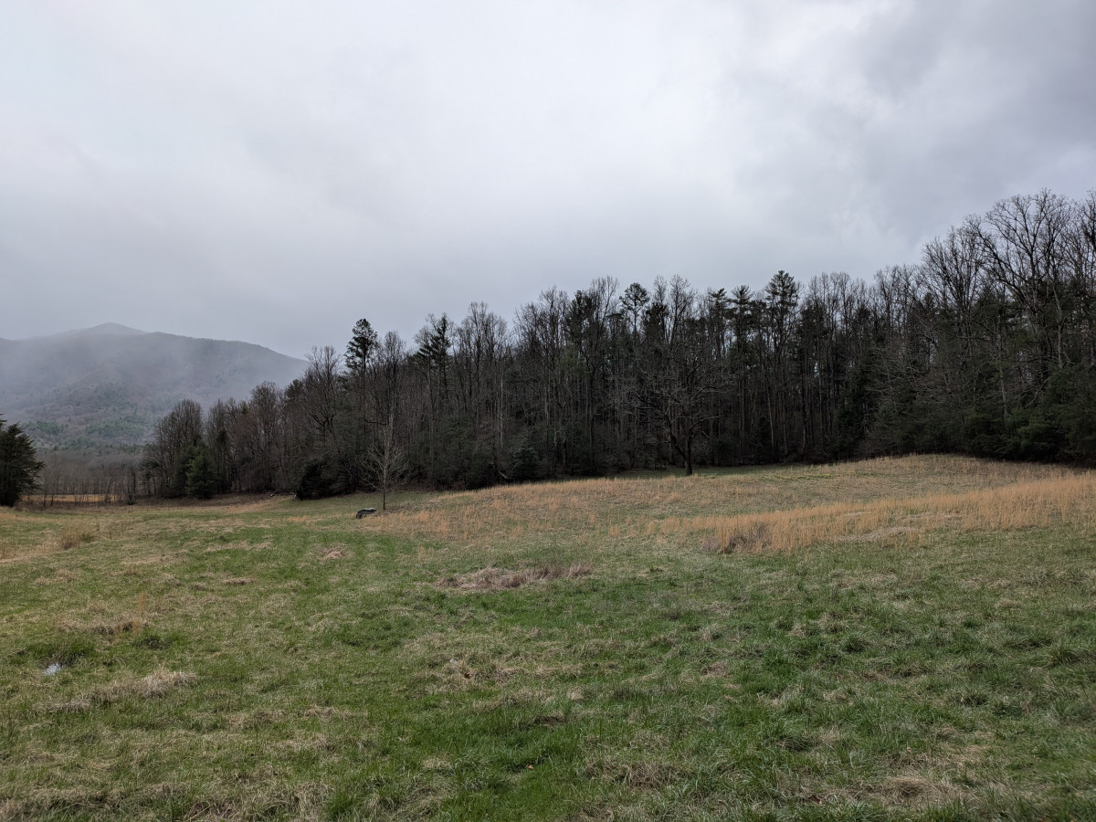 PXL_20260315_205626179