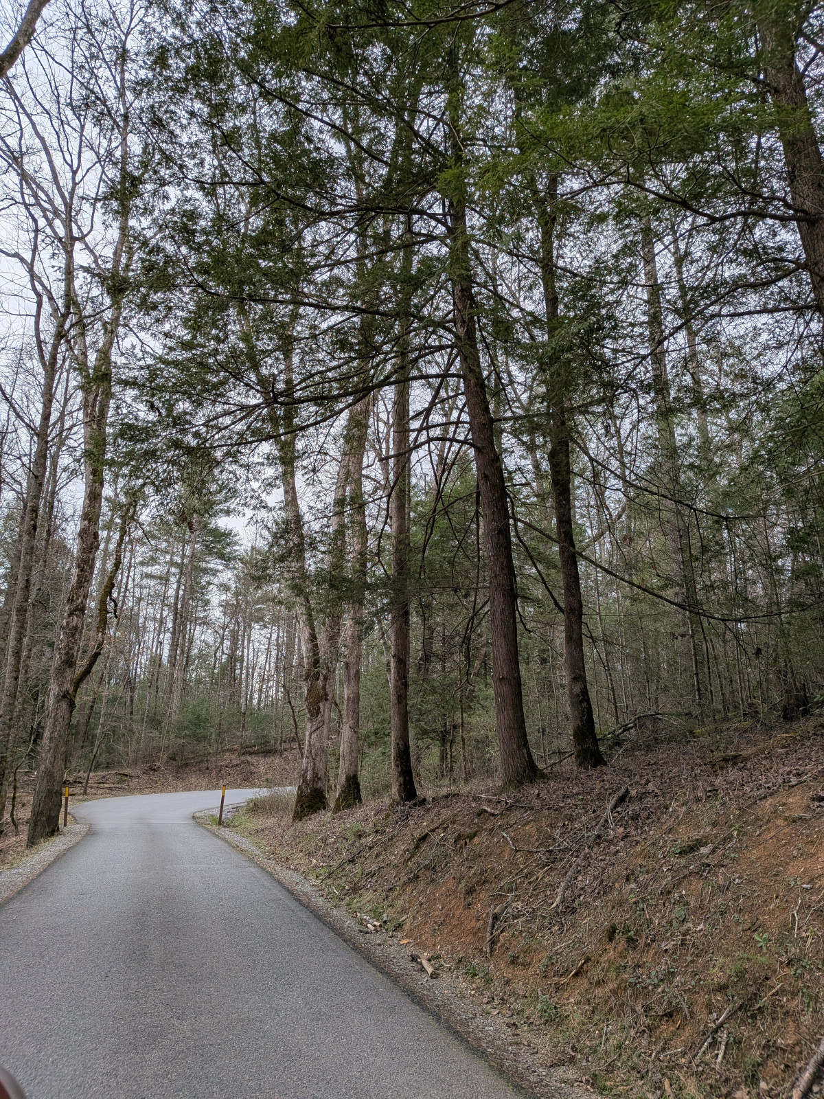 PXL_20260315_205356896