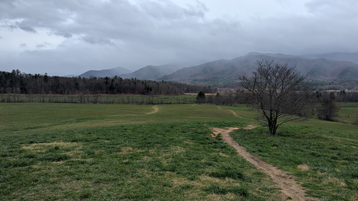 PXL_20260315_213651001