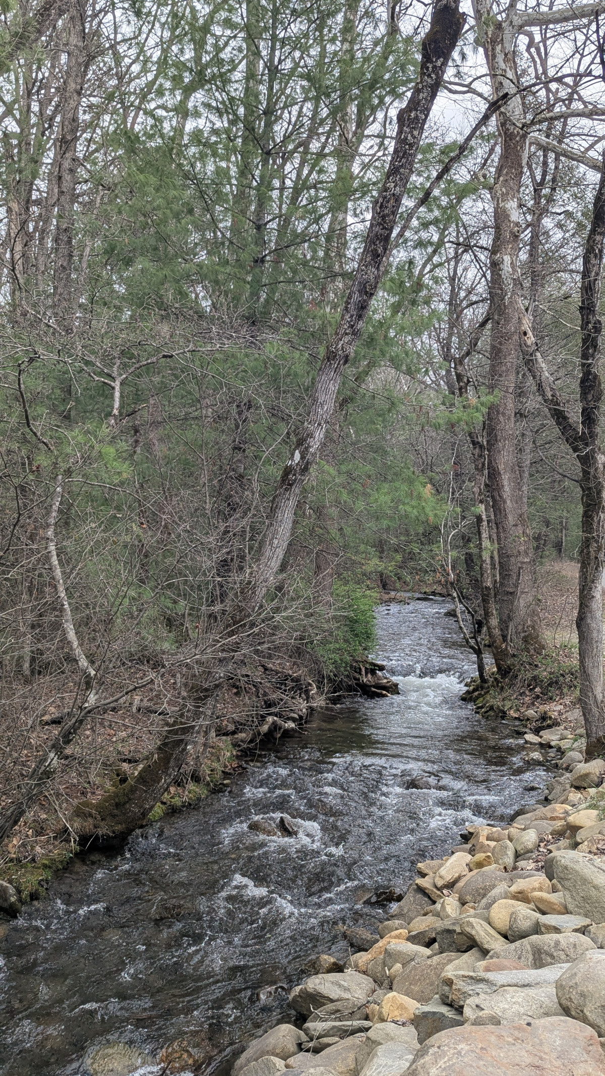 PXL_20260315_220513360.MP