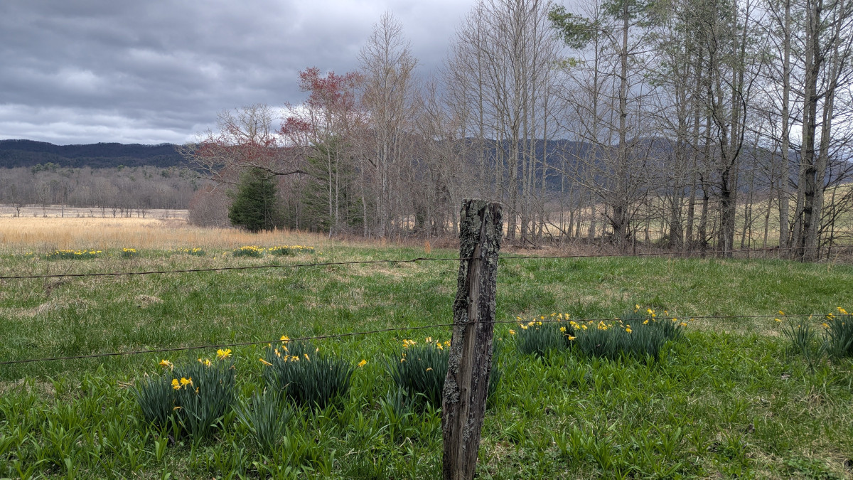 PXL_20260315_223248219.MP