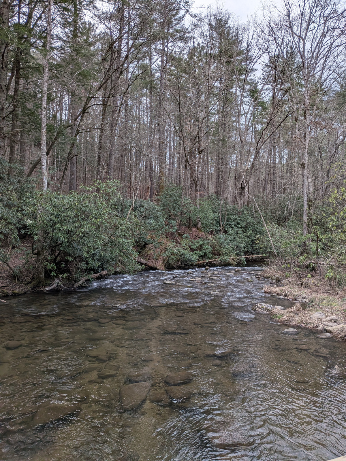 PXL_20260315_221235048.MP