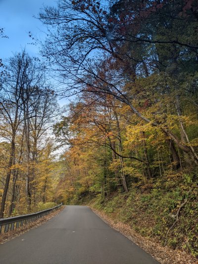 PXL_20251026_190238088