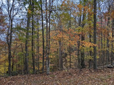 PXL_20251027_200441587