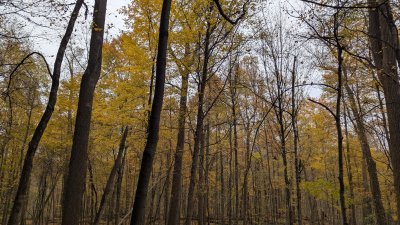 PXL_20251029_195416071.MP