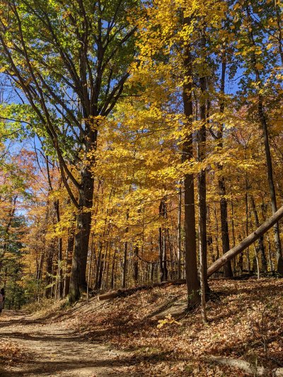 PXL_20251029_164034416.MP