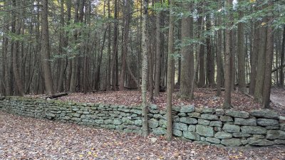 PXL_20251029_201021735.MP