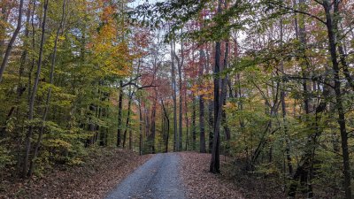 PXL_20251025_221658637.MP