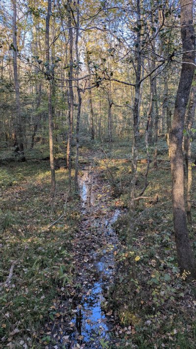 PXL_20251106_205838897.MP