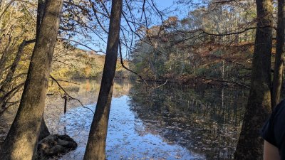 PXL_20251106_202807937.MP