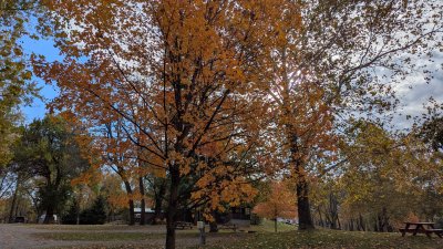 PXL_20251103_190235646.MP