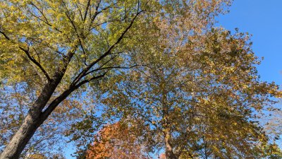 PXL_20251103_151605890.MP