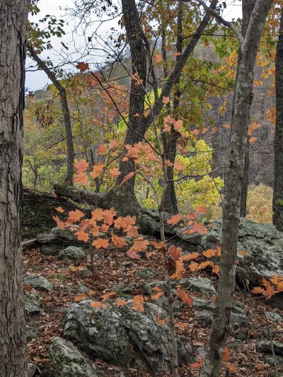 PXL_20251027_162051525