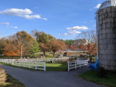 PXL_20251101_194232041