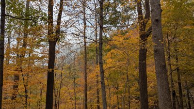 PXL_20251026_162216855.MP