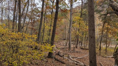 PXL_20251027_163530583.MP