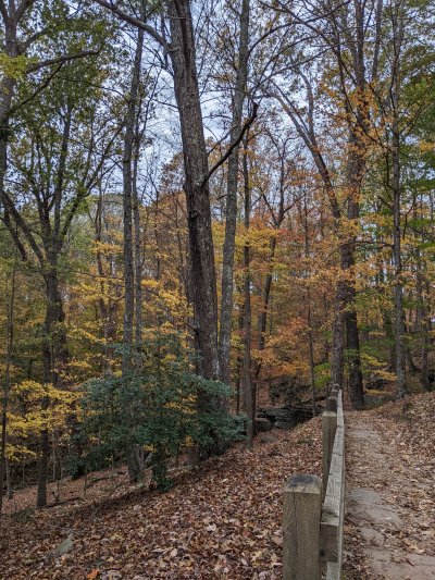 PXL_20251027_200317197.MP