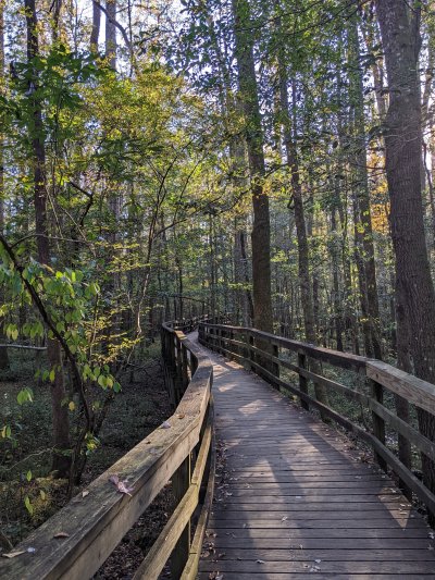 PXL_20251106_205429644.MP