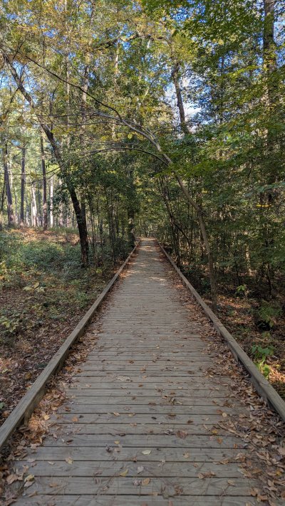 PXL_20251106_194656200.MP