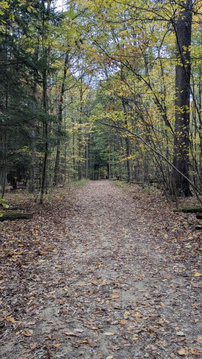 PXL_20251029_201152616.MP