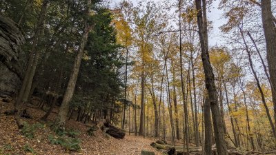 PXL_20251029_200045022.MP