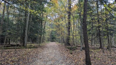 PXL_20251029_201147962.MP