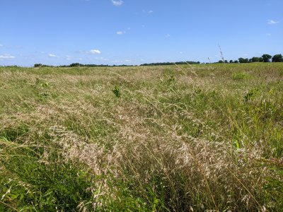 PXL_20250621_214615990.MP