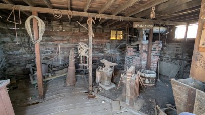 PXL_20250620_213155574.MP