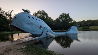 PXL_20250622_013054624.MP