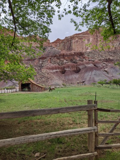 PXL_20250604_170449417