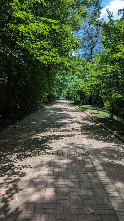 PXL_20250623_194153862.MP