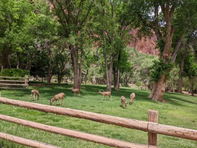 PXL_20250604_190539038