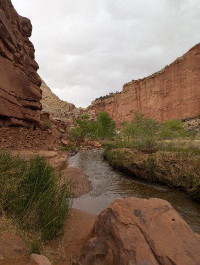 PXL_20250604_180434672.MP