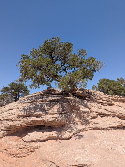 PXL_20250607_184948699.MP