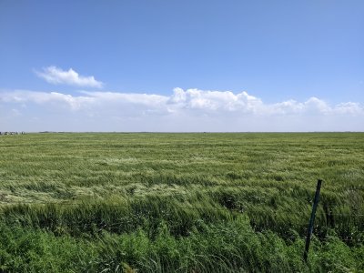 PXL_20250519_205051855.MP