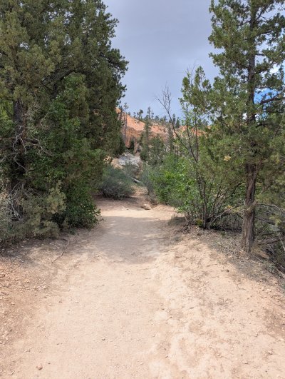 PXL_20250601_174219918.MP