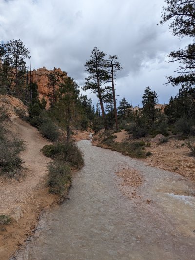 PXL_20250601_180239858.MP