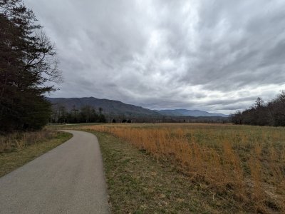 PXL_20260315_202709945