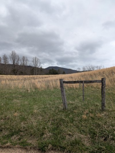 PXL_20260315_205251384