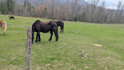 PXL_20260315_201818941.MP