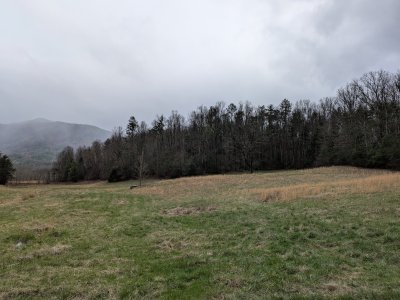 PXL_20260315_205626179